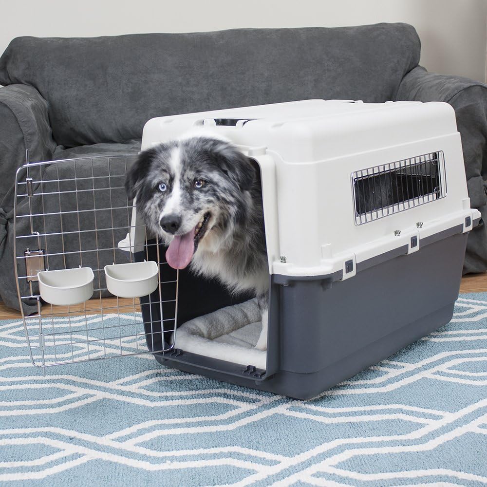 SportPet Designs Plastic Kennels Rolling Plastic Wire Door Travel Dog Crate- Large Kennel, Gray: Pet Supplies