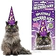 INFLATABLE WIZARD HAT FOR CATS by Accoutrements