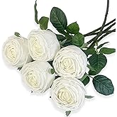 LYZXMLBL 5Pcs White Real Touch Artificial Austin Rose Peony Silk Flowers with Stems - Lifelike Latex Fake Roses for Home Decor, Weddings, and DIY Floral Arrangements