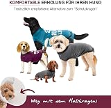 BellyGuard Dog Recovery Suit After Surgery Cozy Bodysuit view 2