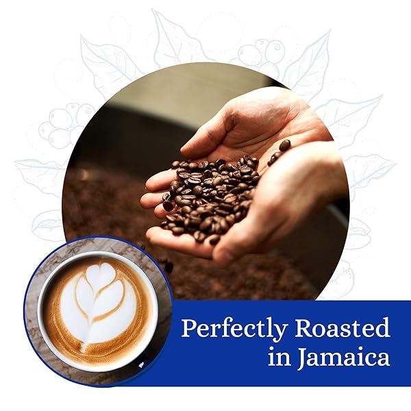 CAFE BLUE 100% JAMAICA BLUE MOUNTAIN COFFEE, MEDIUM ROAST, COFFEE PODS FOR HOT AND COLD BREW, 12 COUNT (PACK OF 1)