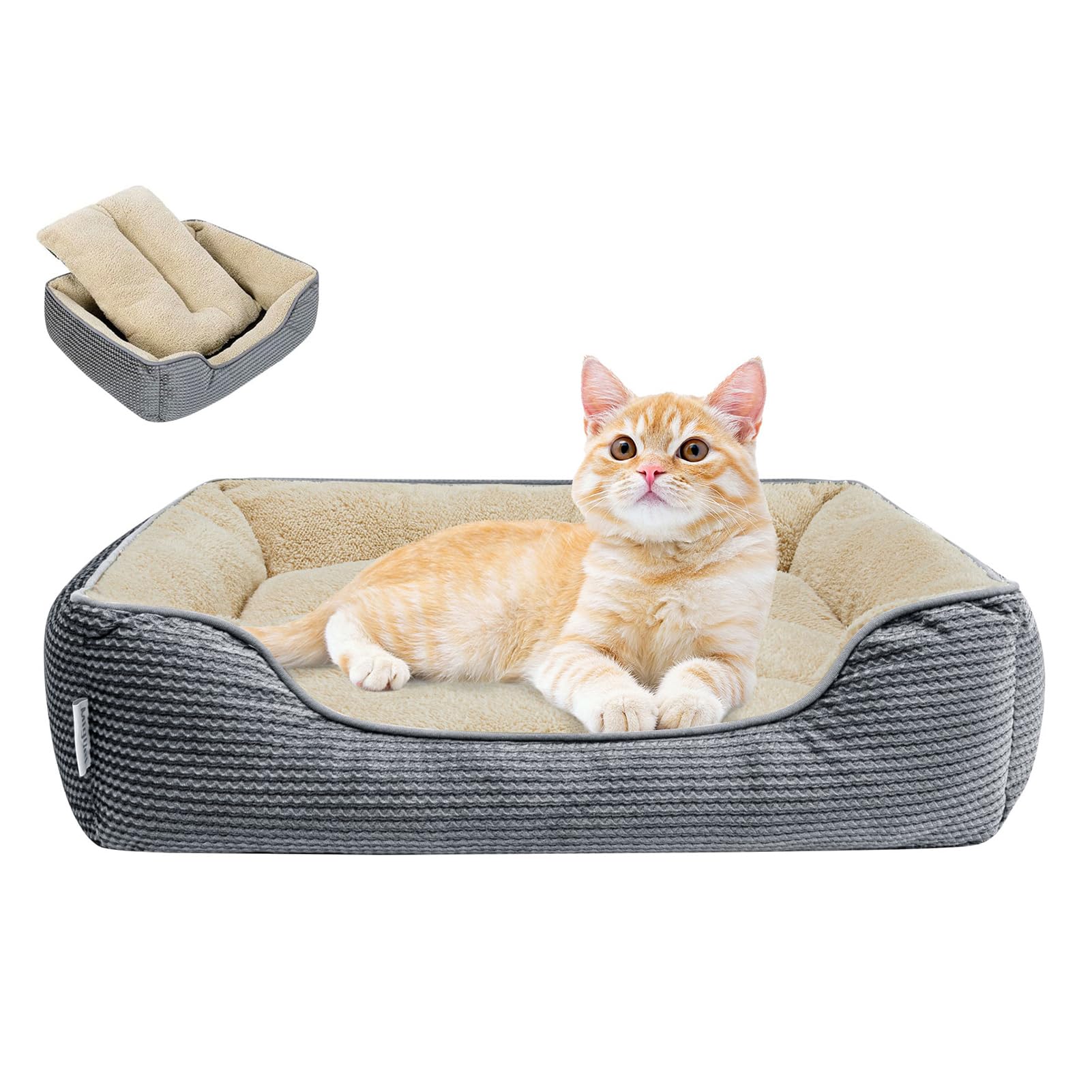 Photo 1 of Miguel Washable Cat Beds for Indoor Cats with Removable Cushion/Pillow, Easy to Wash Small Dog Bed with Side, Large Rectangle Kitten Bed Cuddle Puppy Bed with Anti-Slip Bottom, Gray 20 Inch