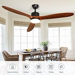 Depuley 60" Ceiling Fan with Light,Indoor Outdoor
