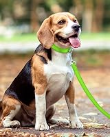 Taglory Dog Lead 2 cm Wide 1.8 m Neon Green Reflective Padded Handle view 6
