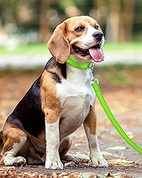 Taglory Dog Leash for Small Dogs, Double-Sided