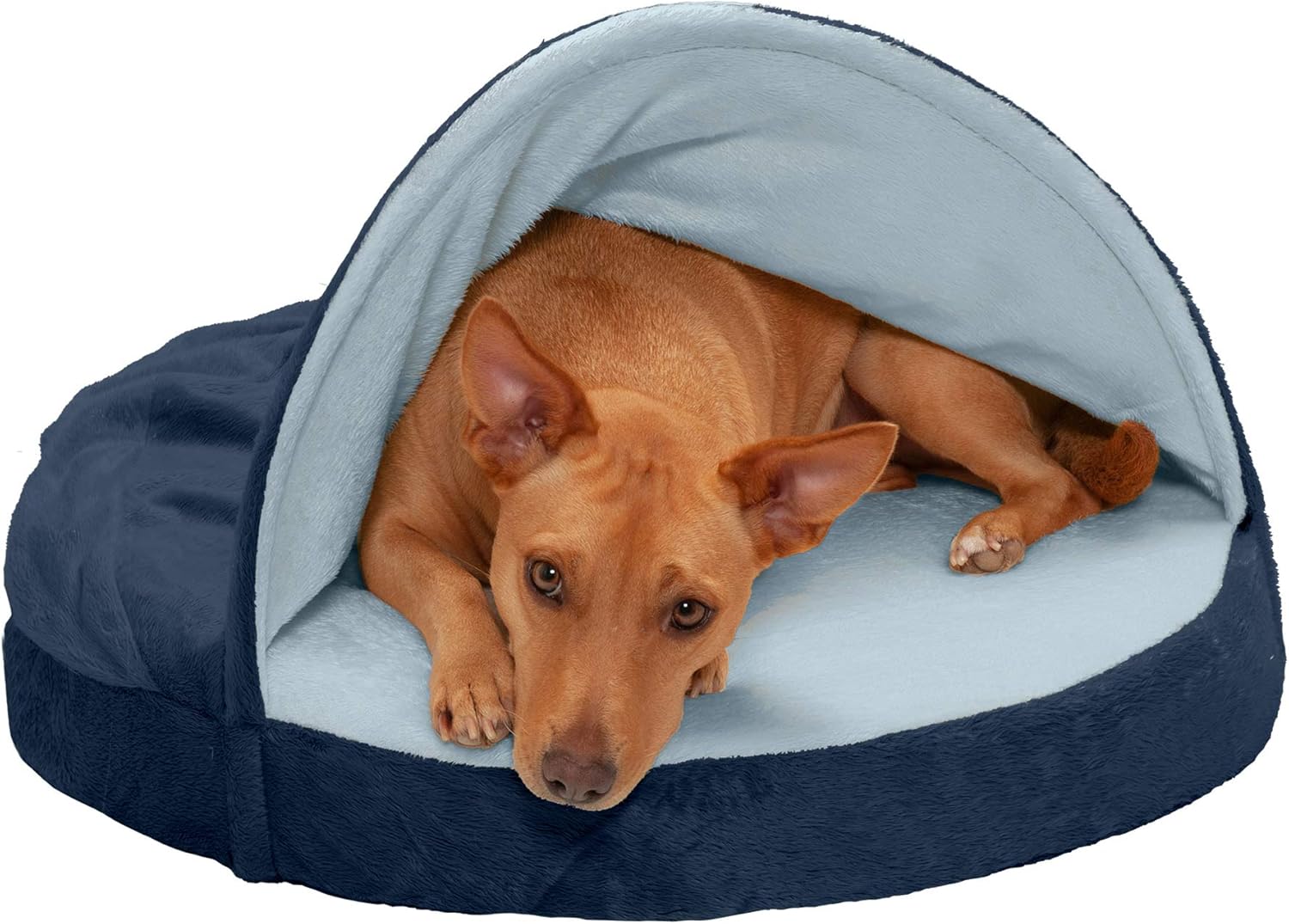Furhaven Pet Dog Bed Orthopedic Round Microvelvet Snuggery Burrow Pet Bed For Dog Beds Pet Supplies Worldenergy Ae