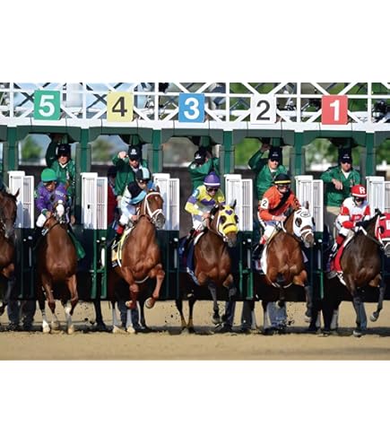 MEHOFOND 8x6ft Kentucky Derby Backdrop Kentucky Derby Party Photography - View #11