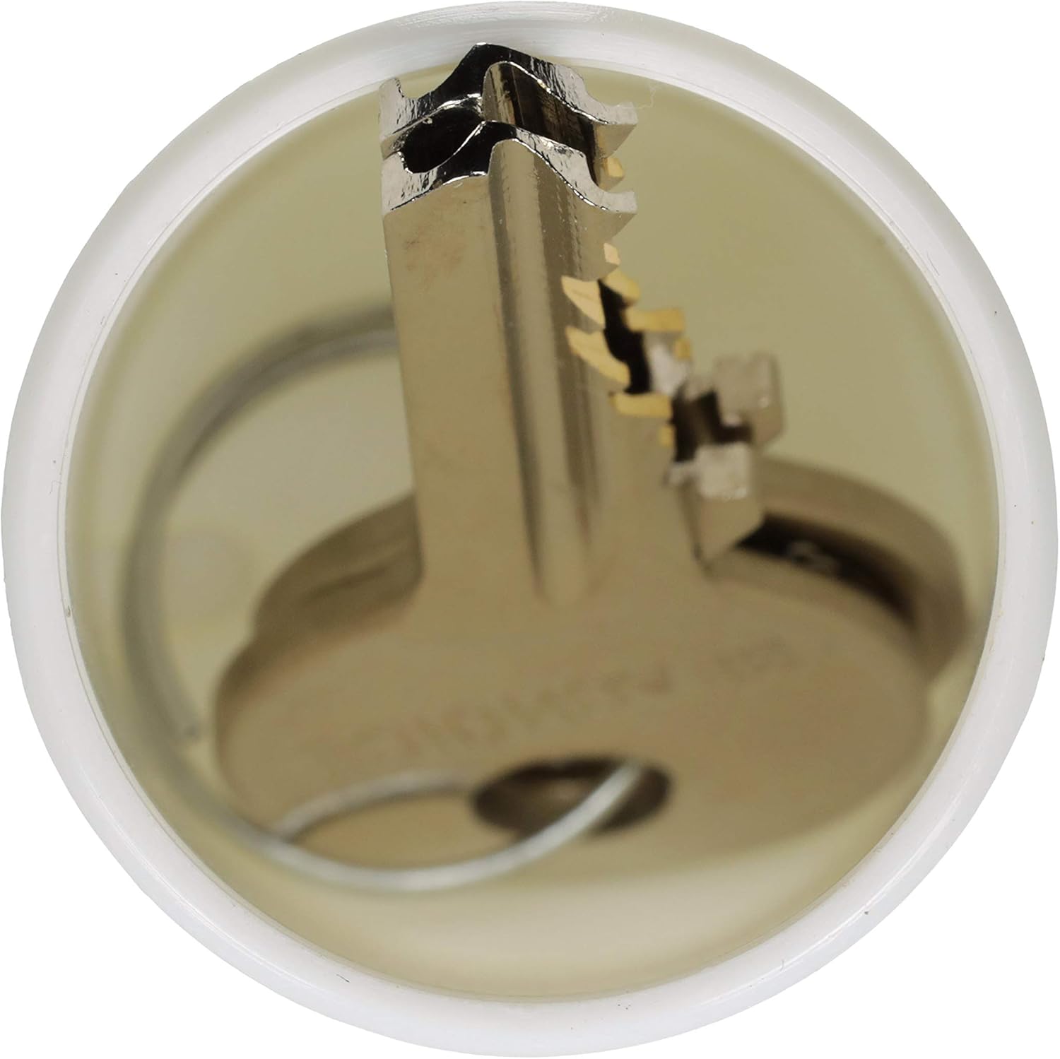 Attwood 11875-7 Floating Key Buoy Key Chain: Sports & Outdoors
