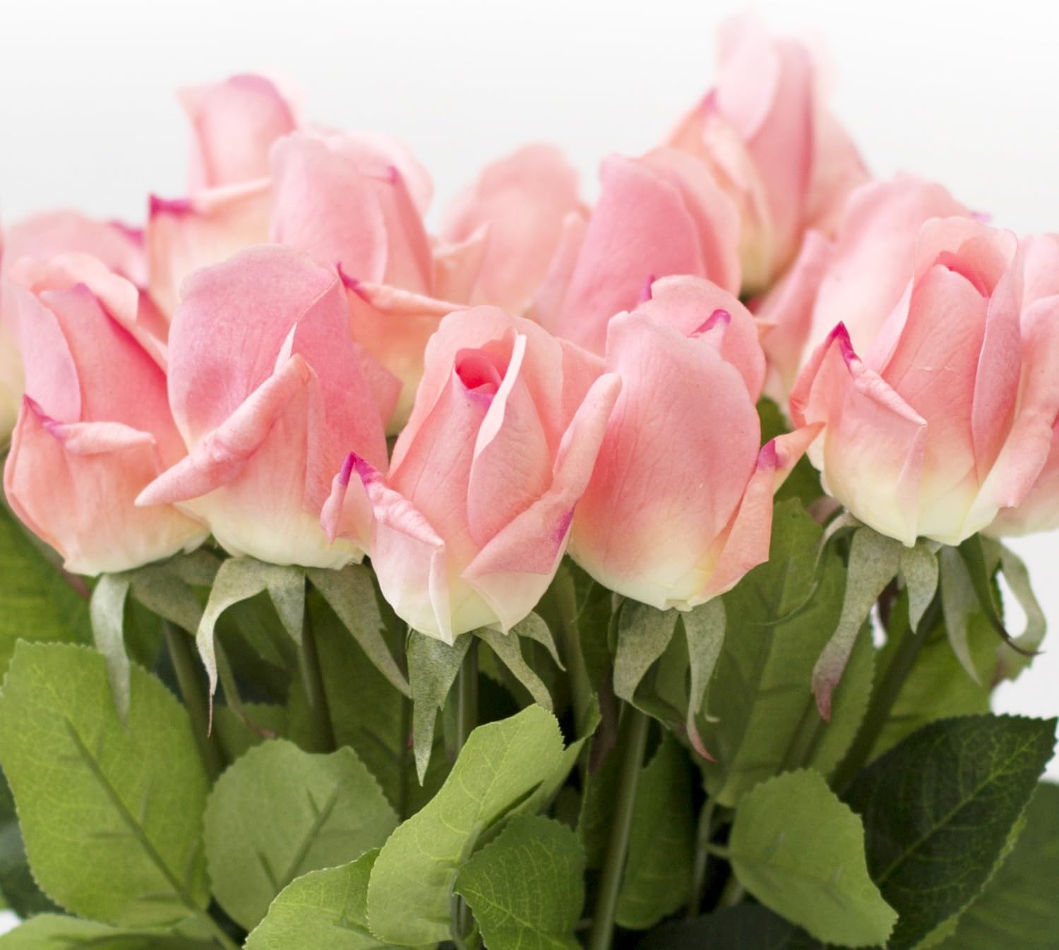 N YONGNUO 12Pcs Real Touch Latex Moisturizing Aritificial Flowers Rose of True and Natural for Wedding Bouquet/Home Decor or As A Gift Send to Ourself/Wife/Mother/Friends/Valentine's Day
