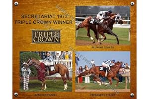 SPORTSPHOTOSUSA Secretariat 1973 Triple Crown Winner Derby Preakness Belmont 8x10 Photo Collage