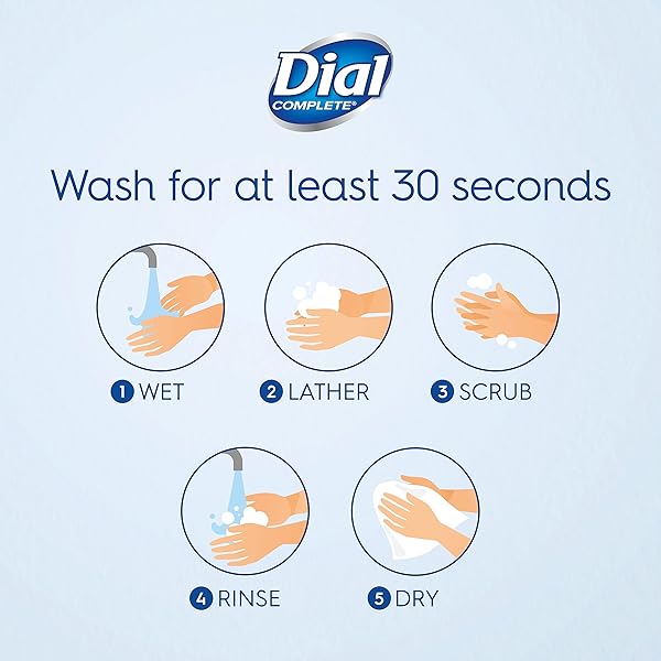 DIAL ANTIBACTERIAL LIQUID HAND SOAP REFILL, GOLD, 52 FLUID OUNCES (PACK OF 6)