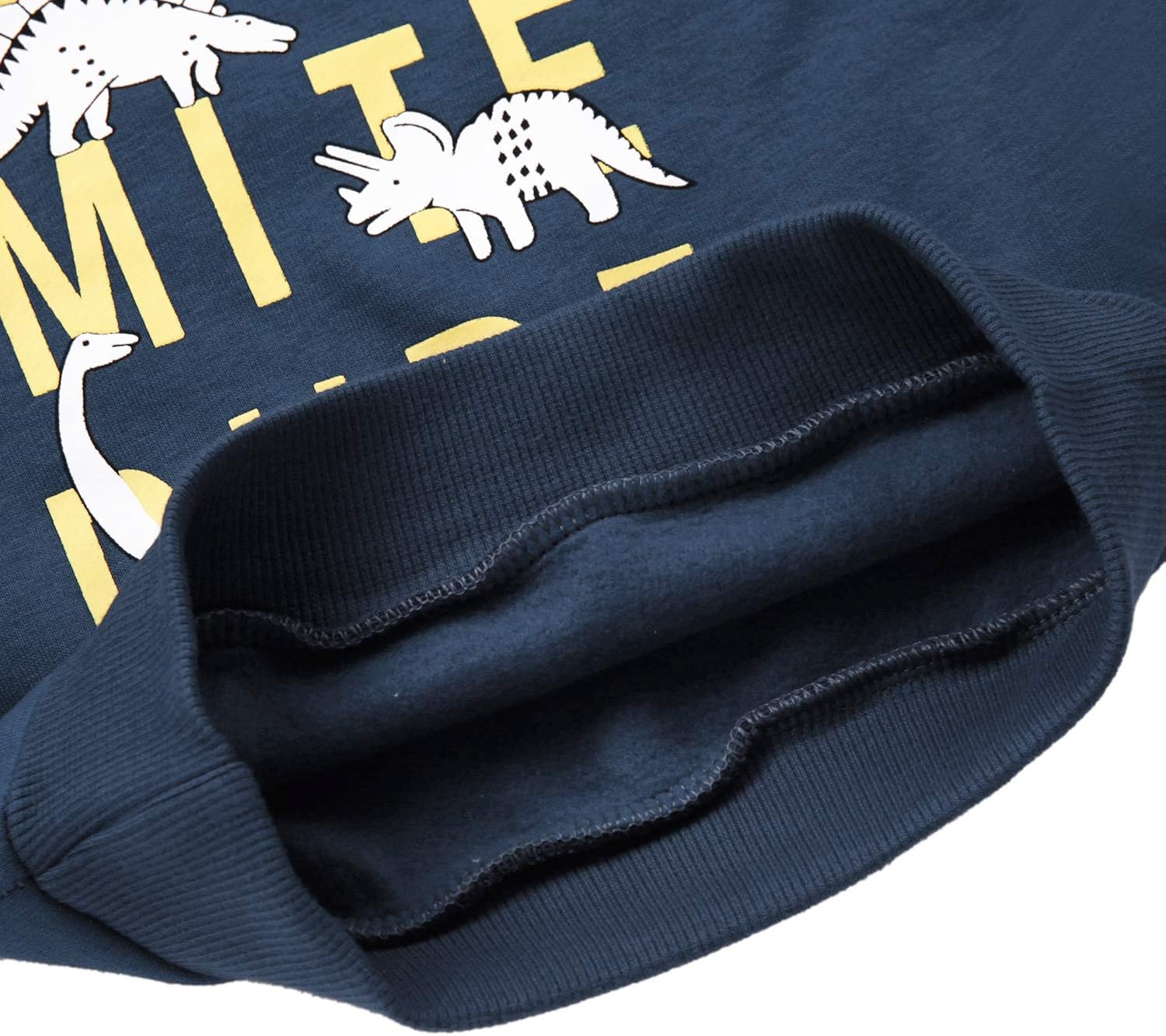 Toddler Boys Dinosaur Sweatshirts Cartoon Winter Long Sleeve Kids Sport Outdoor Pullover Tops Tees 2T-8T: Clothing