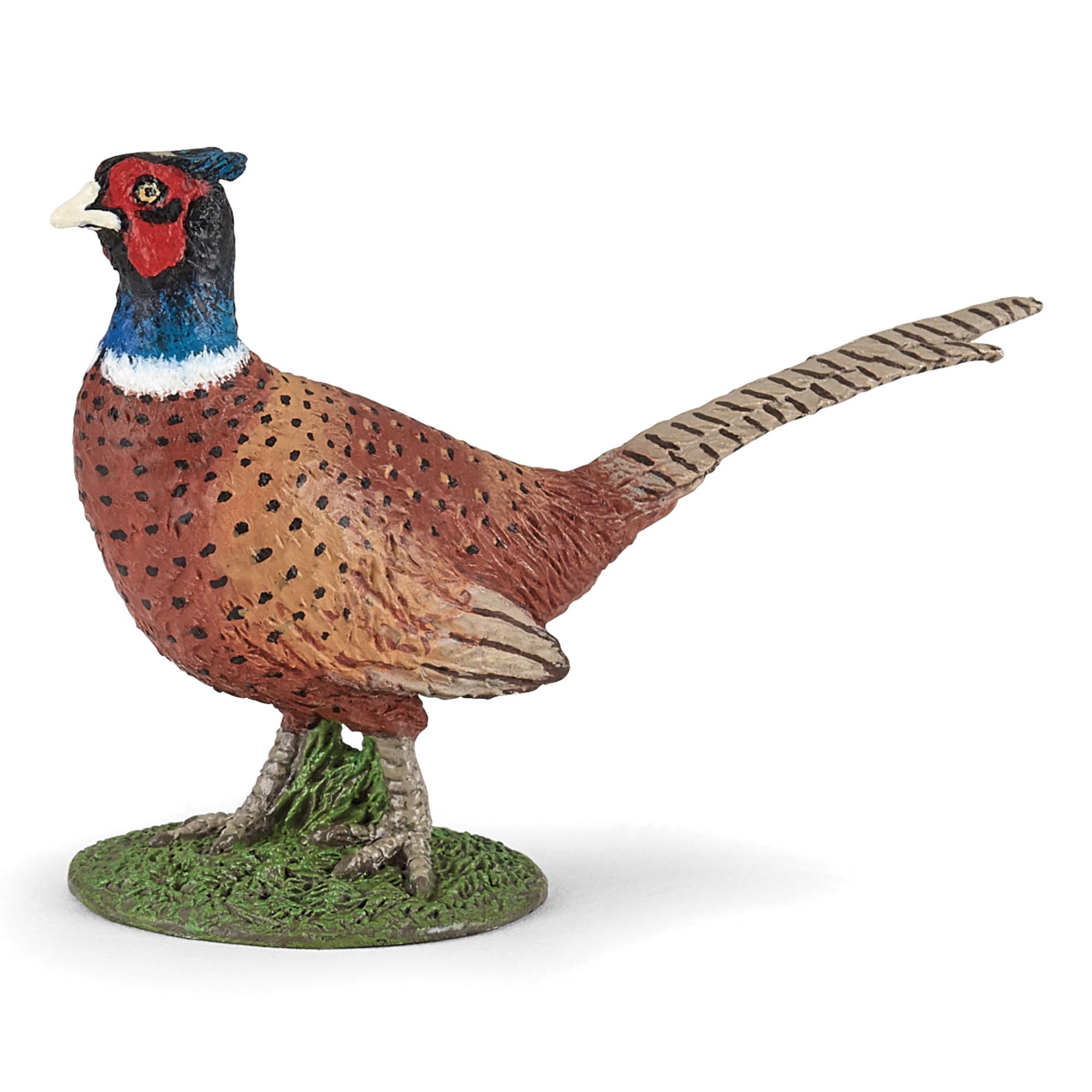 Papo - Animal Figurine - Pheasant, Beauty of Wild Life, Multicolored Figurine for Children from 3 Years - Birdwatching and Nature Awareness