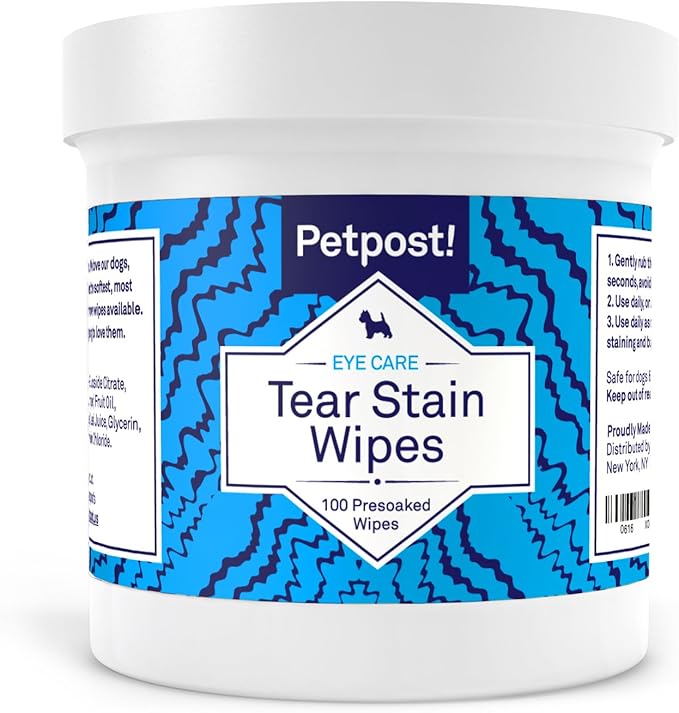 bull terrier yorkshire