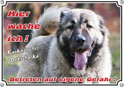 Panneau Chien Berger Du Caucase Plaque Ici Je Me Réveille