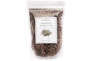 Superfood Microgreen Seeds Mix | for Microgreens Growing Trays | 1 LB | Heirloom Non GMO Purple Kohlrabi, Collard, Radish, Turnip & Broccoli Sprouts Seeds | Rainbow Heirloom Seed Co.