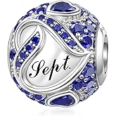 JIAYIQI Birthstone Charms for Bracelet Necklace 925 Sterling Silver Bead Love Heart Charms Happy Birthday Charms for Women