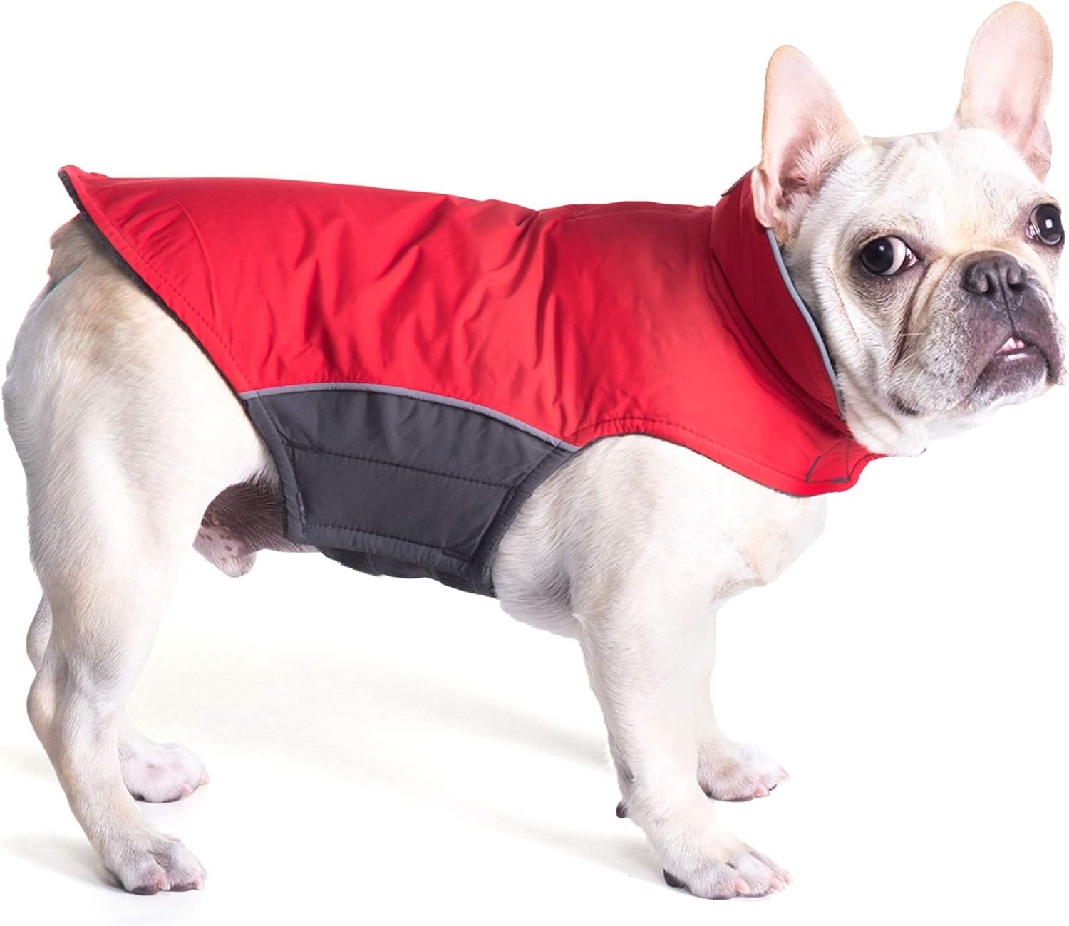 worthy dog jacket