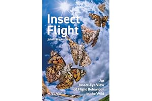 Insect Flight: An Insect-Eye View of Flight Behaviour in the Wild