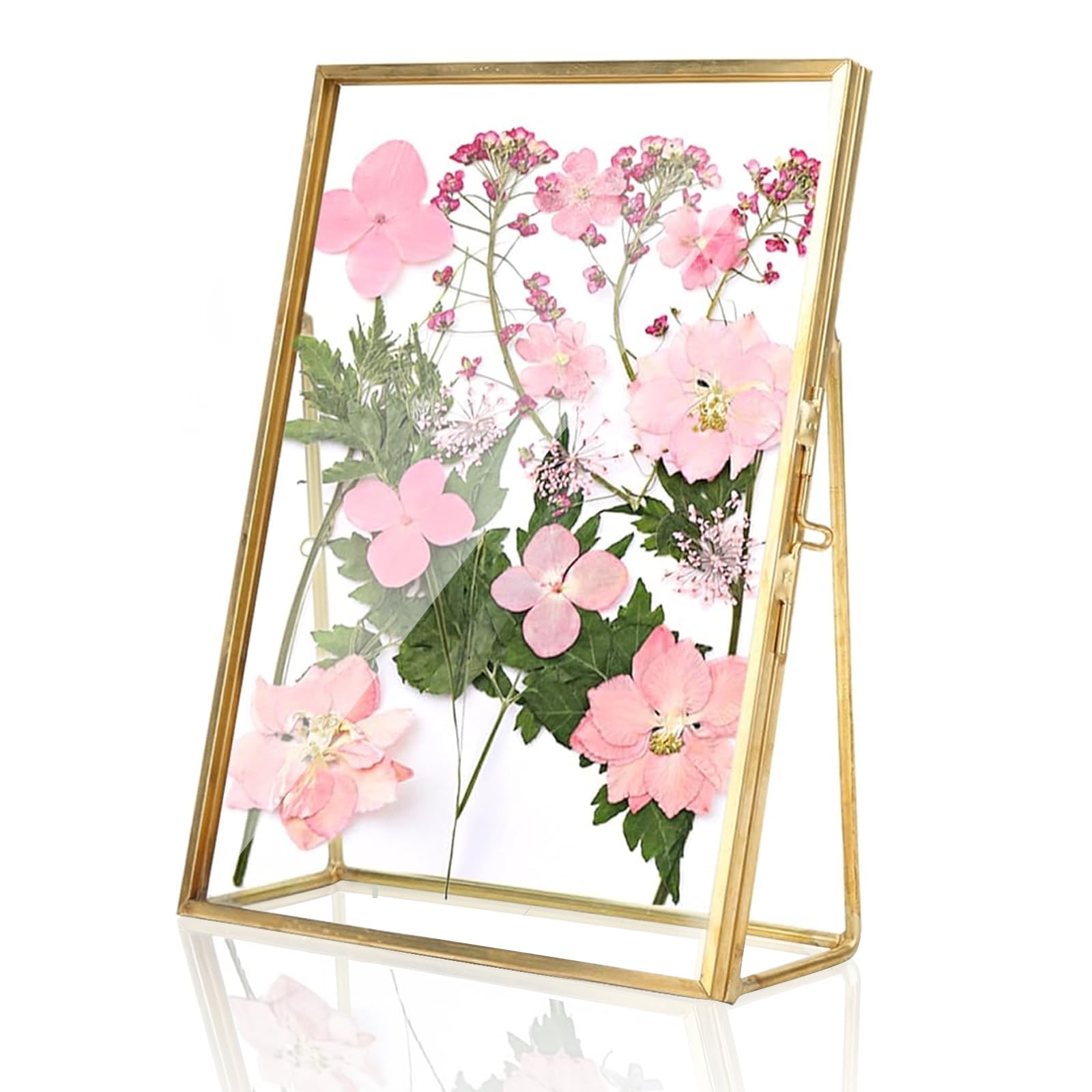 Glass Pressed Flower Frame, Elegant Vintage Gold Border Metal Glass Photo Frame for Dried Plant Specimen Display, 15.2x20.3cm, Brass and Glass, Desktop or Wall Decor for Living Room or Bedroom