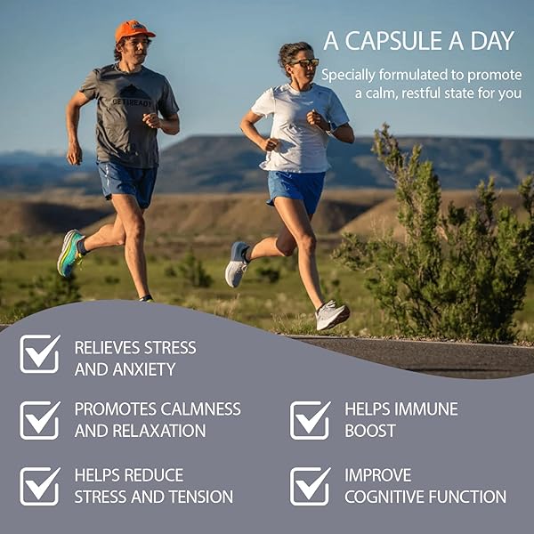 IMMUNE SUPPORT SUPPLEMENT NATURAL HERBAL COGNITIVE SUPPORT BOOSTER AND MUSHROOM WITH LION’S MANE, REISHI SUPPLEMENT FOR MEMORY COGNITIVE