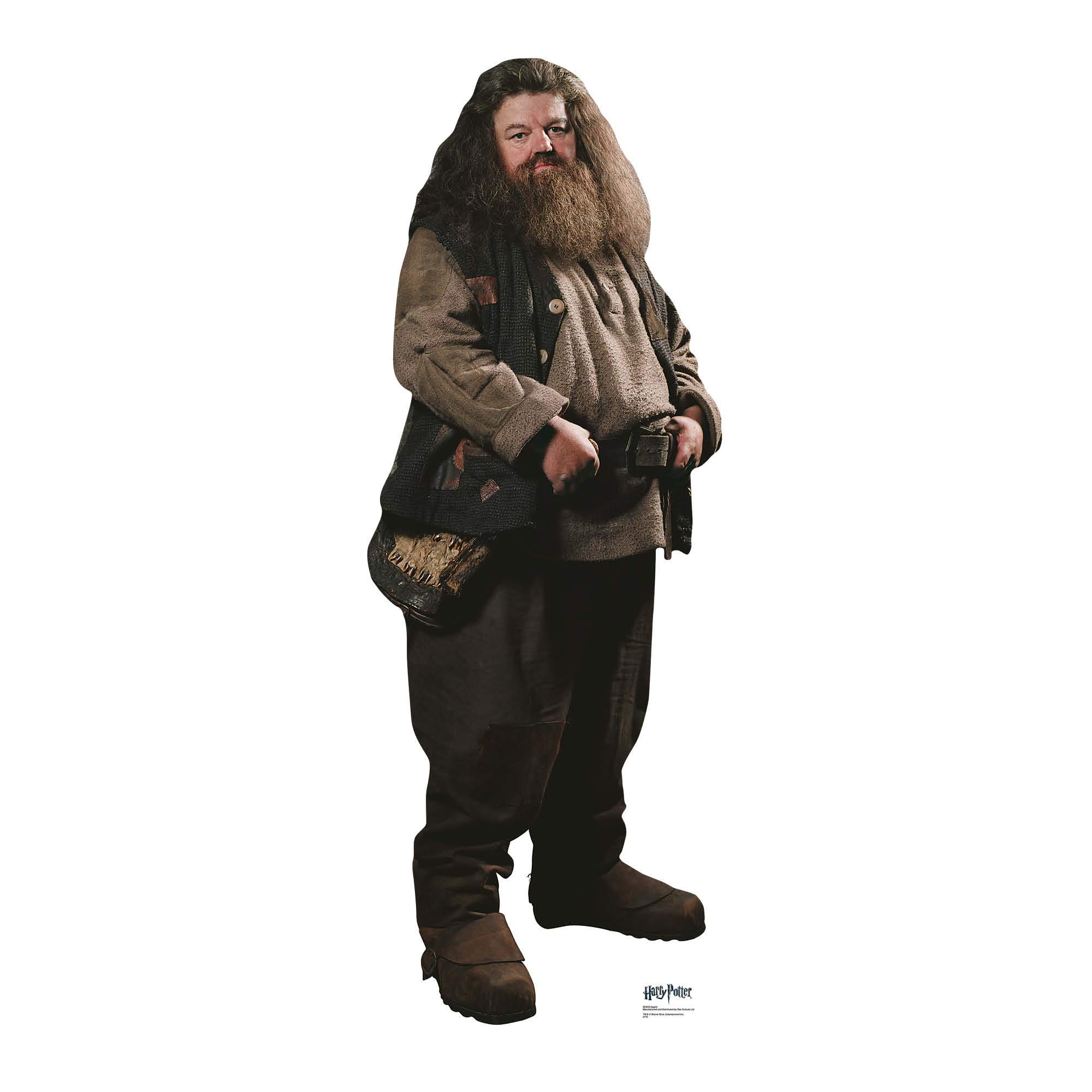 Star Cutouts SC643 Hagrid Cardboard Cutout Large – Official Harry Potter Party & Bedroom Display – Magical Gift for Fans