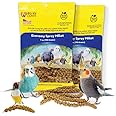 Birds LOVE Economy & Thin Special Spray Millet | GMO-Free (No Stems Only Edible Tops) for Birds Cockatiel, Lovebird, Parakeet, Finch, Canary All Parrots Healthy Treat 7 oz -Pack of 2