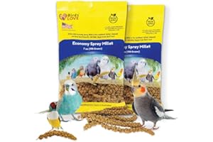 Birds LOVE Economy Special Spray Millet | GMO-Free (No Stems Only Edible Tops) for Birds Cockatiel, Lovebird, Parakeet, Finch, Canary All Parrots Healthy Treat 7 oz -Pack of 2