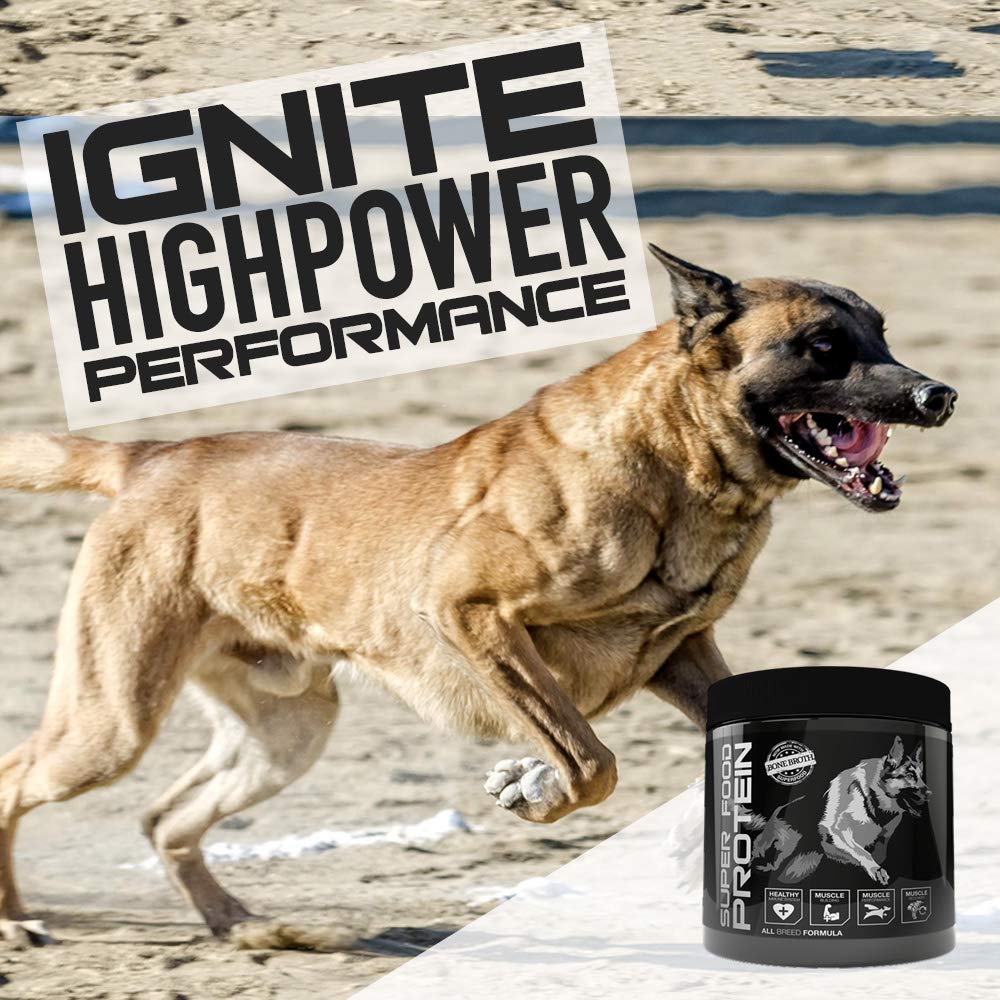 Is Whey Good For Dogs