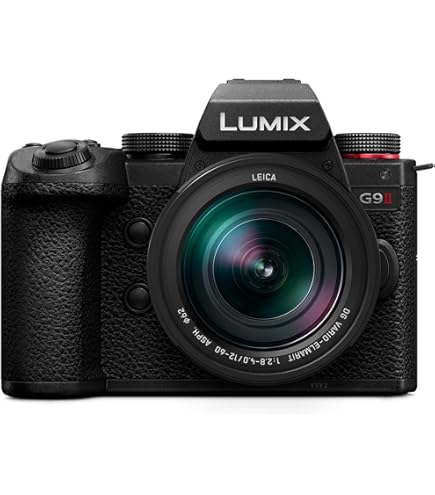 Amazon.com : Panasonic Lumix G Leica DG Summilux Lens : Electronics