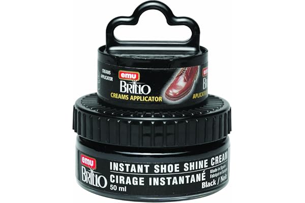 Moneysworth and Best Instant Shoe Shine Cream Kit