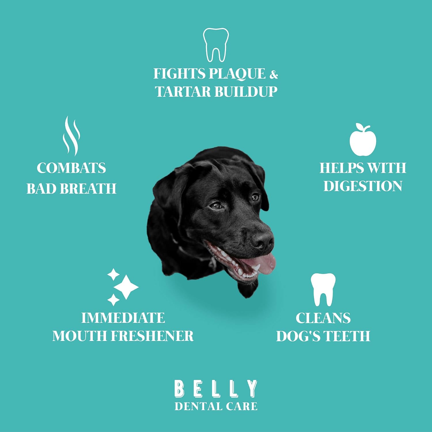 Belly Dental Dog Spray, Dog Breath Freshener & Plaque Remover, Dog Teeth Cleaning Kit - Image 3