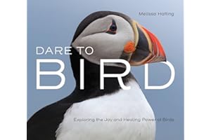Dare to Bird: Exploring the Joy and Healing Power of Birds