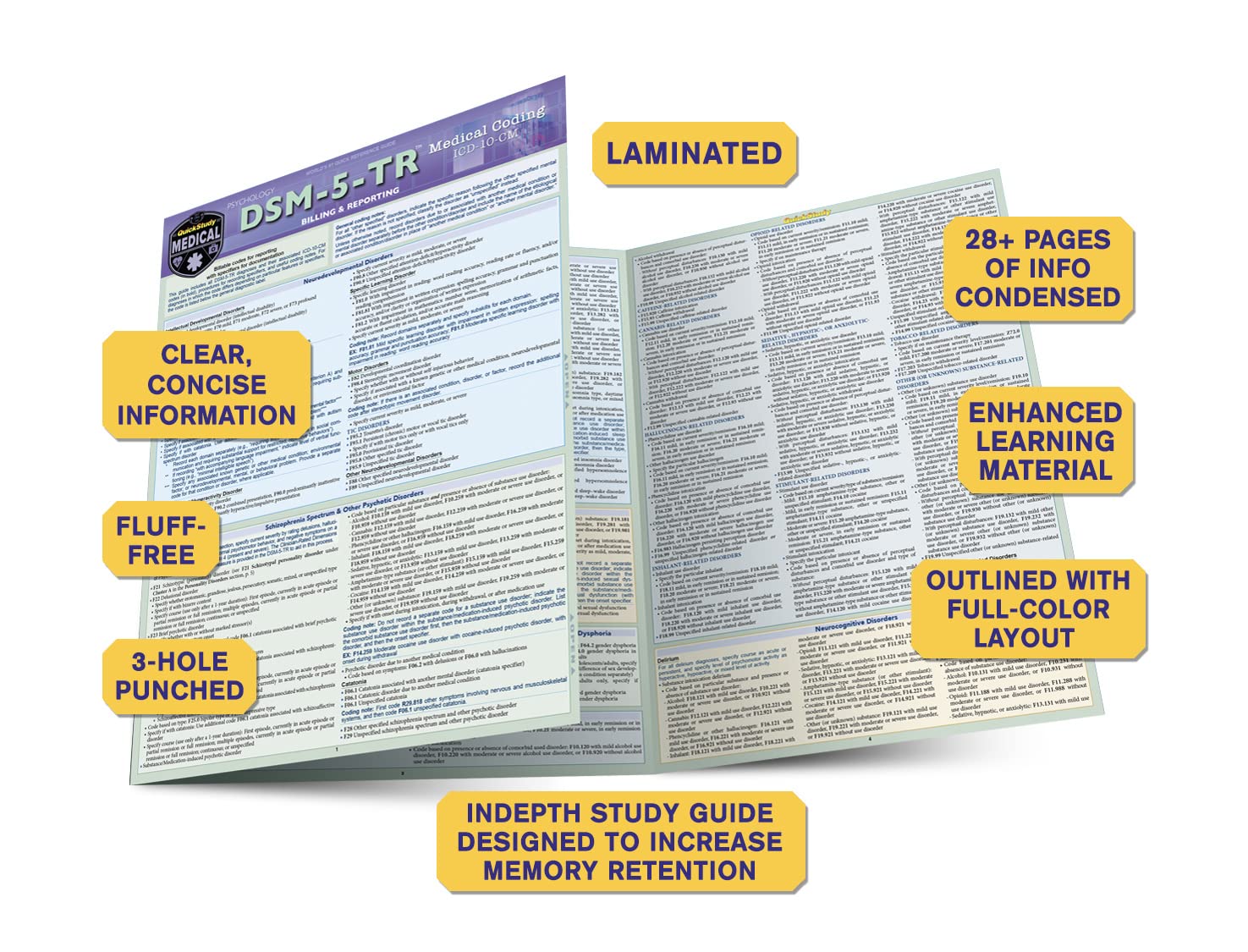 Mua DSM-5-TR Medical Coding: a QuickStudy Laminated Reference Guide ...