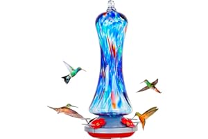 BIRDKISS Hummingbird Feeder for Outdoors Hanging, Hand Blown Glass Hummingbird Gift with Perch, Leak Proof, Never Fade, 4 Feeding Ports, 20 fl.oz, Include Hook, Ant Moat, Rope, Brush, Gift for Garden