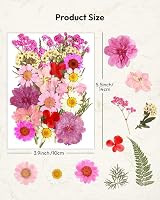 Resiners 100 Pcs Dried Flowers for Resin Crafts Preserved Real Flowers Kit view 5