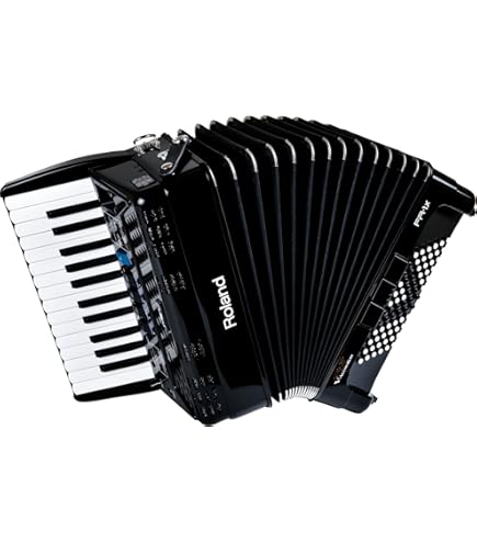 Amazon.com: Hohner Bravo II 48 Chromatic Piano Key Accordion