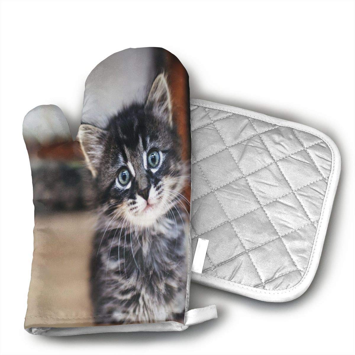Best Pot Holders And Oven Mitts Featuring Cats