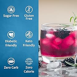Syruvia Sugar Free Blackberry Syrup With Syrup Pump