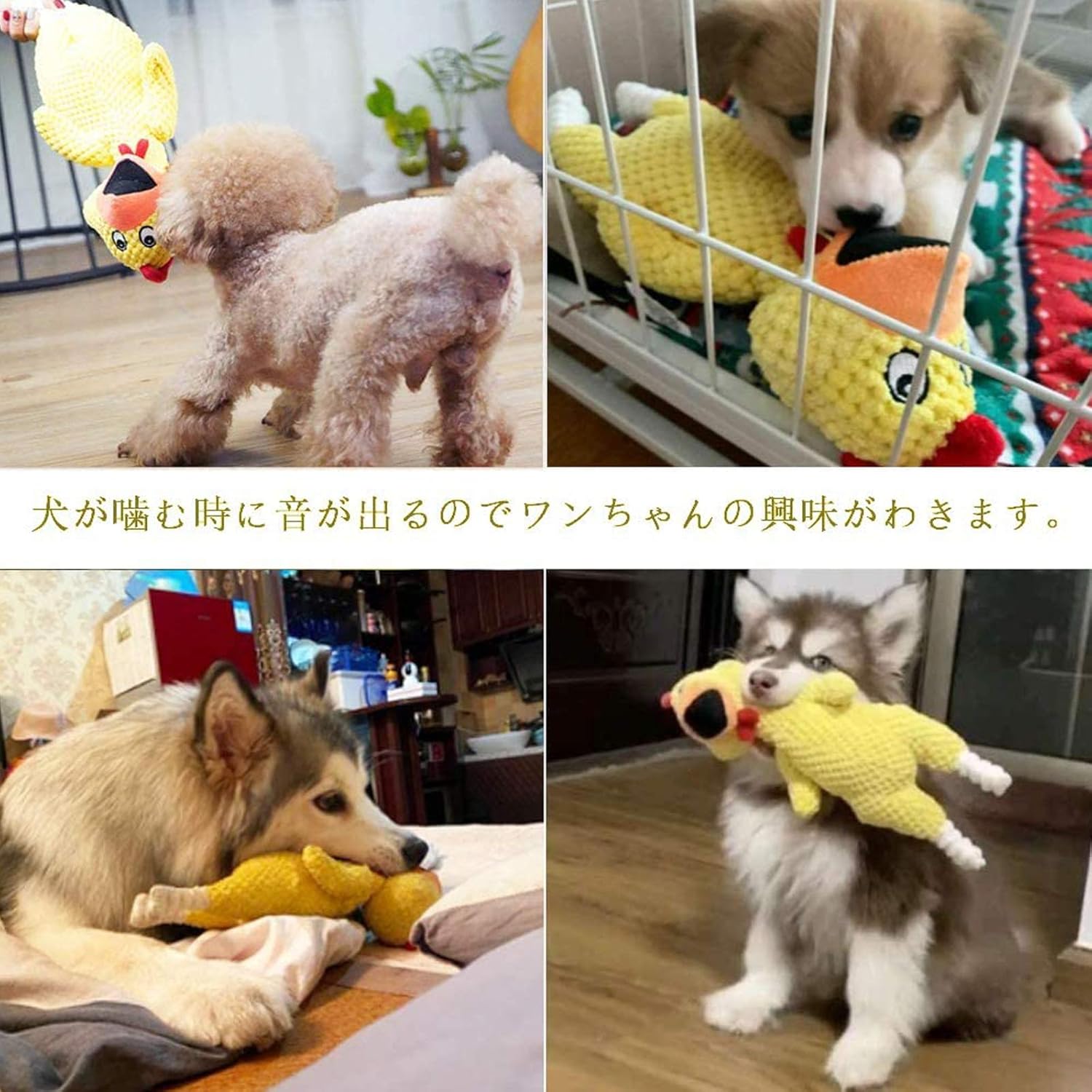 Amazon 犬噛むおもちゃ 犬おもちゃ 音の出る犬用おもちゃ 丈夫 噛むおもちゃ かわいい鶏 運動不足解消 歯ぎ清潔 安全 耐久性 Chenchen 噛むおもちゃ 通販