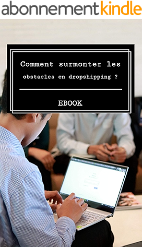 Download Comment surmonter les obstacles en Dropshipping PDF