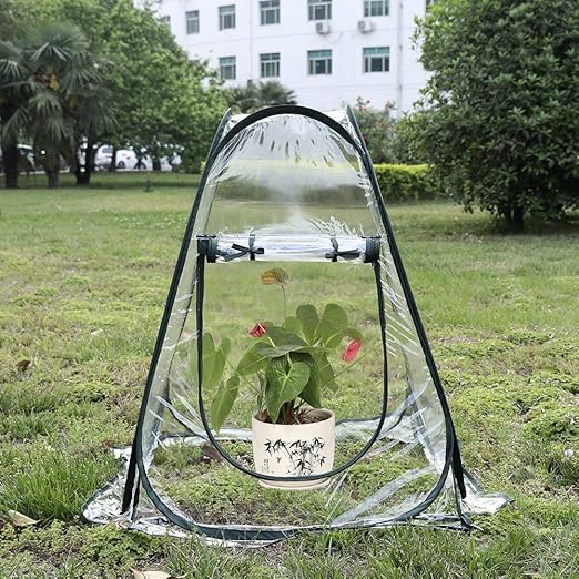 Xlys Mini Collapsible Greenhouse Portable Pop Up Grow House Pvc
