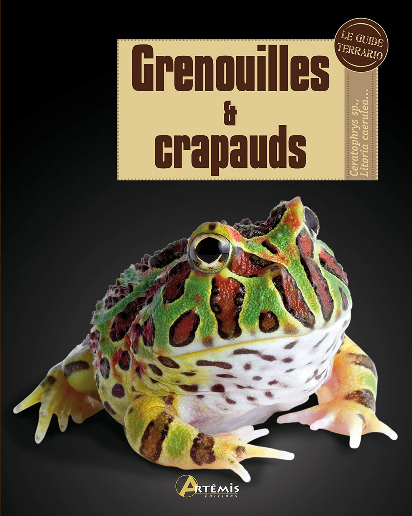 Grenouilles Et Crapauds Edmonds Devin Laudereau Anne Amazon Fr Livres