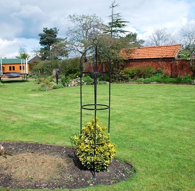 STEEL GARDEN OBELISK FOR CLIMBING PLANTS & ROSES Amazon.co.uk Garden