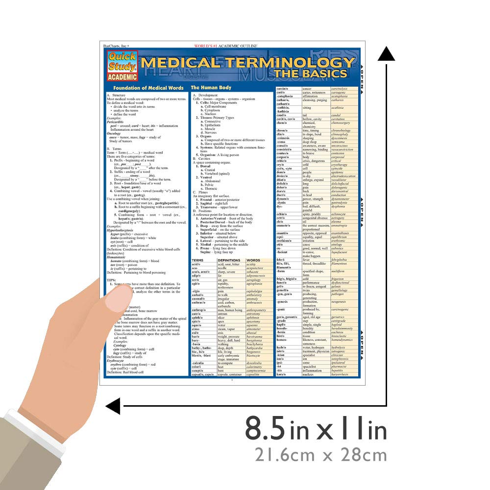 Mua Medical Terminology: The Basics QuickStudy Laminated Reference ...