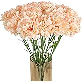 INSUNSIX Champagne Carnations Artificial Flowers 15PCS 21.25in Carnations Silk Flowers for Wedding Home Table Centerpieces Floral Arrangements Decor(Champagne)