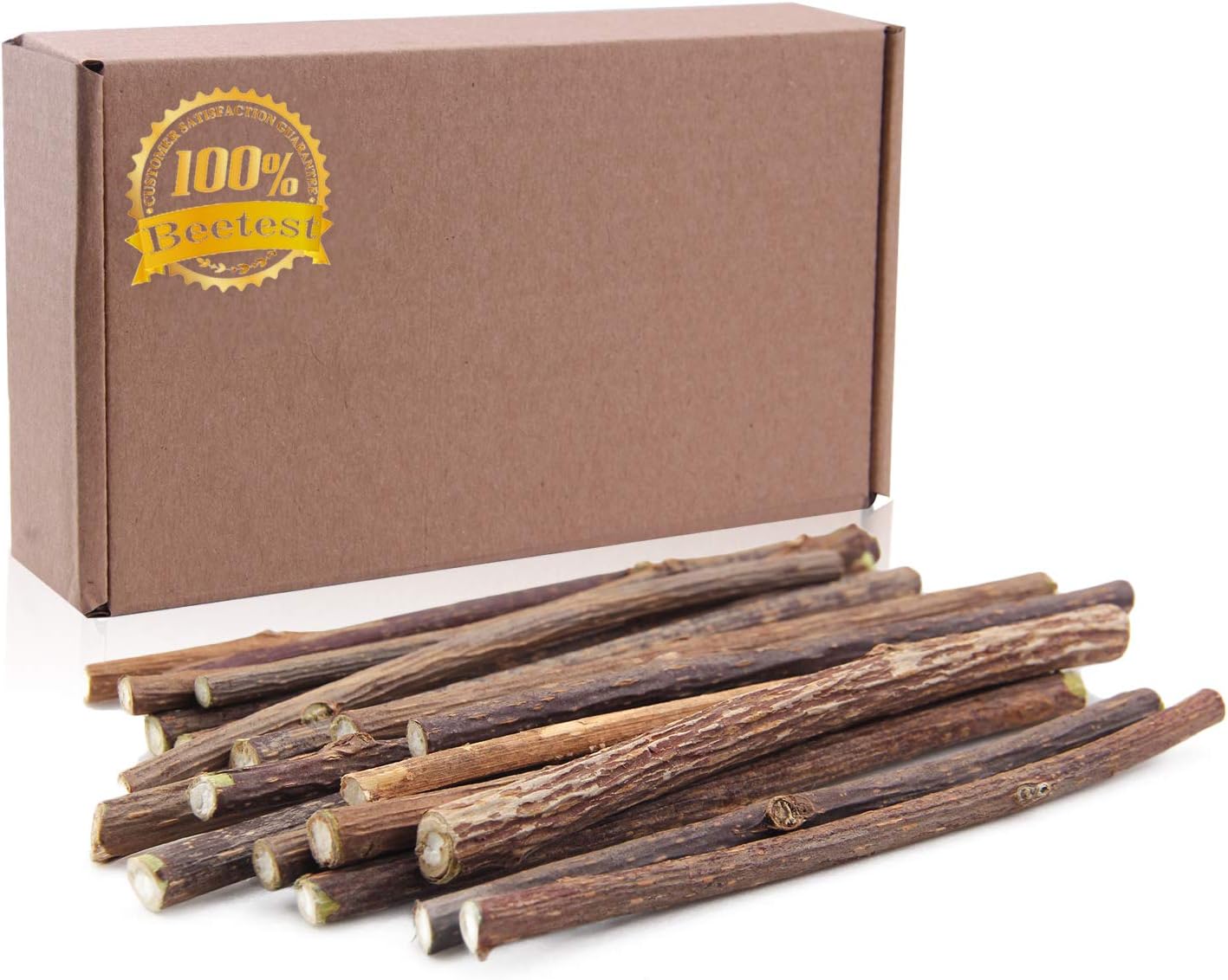 Cat Toys for Indoor, Catnip Toys for Cats, Beetset 20 PCS Matatabi ...