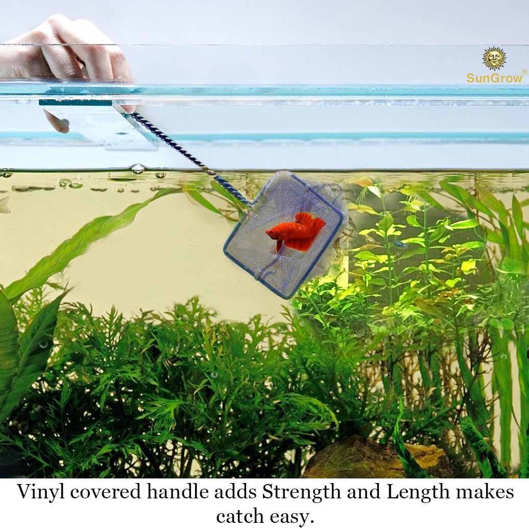 Anti-stress Betta Net -- Routine Tank Maintenance made easy - Durable nylon net prevent pulling fish scales - Transparent net do not scare fish - Hook on handle tail calls for easy storage