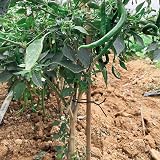 tenn well Garden Wire 3.5mm 52 ft Black Soft Twist Ties for Plants view 6