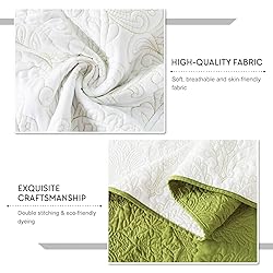 Travan King Size Quilt Set Ultra Soft Fade